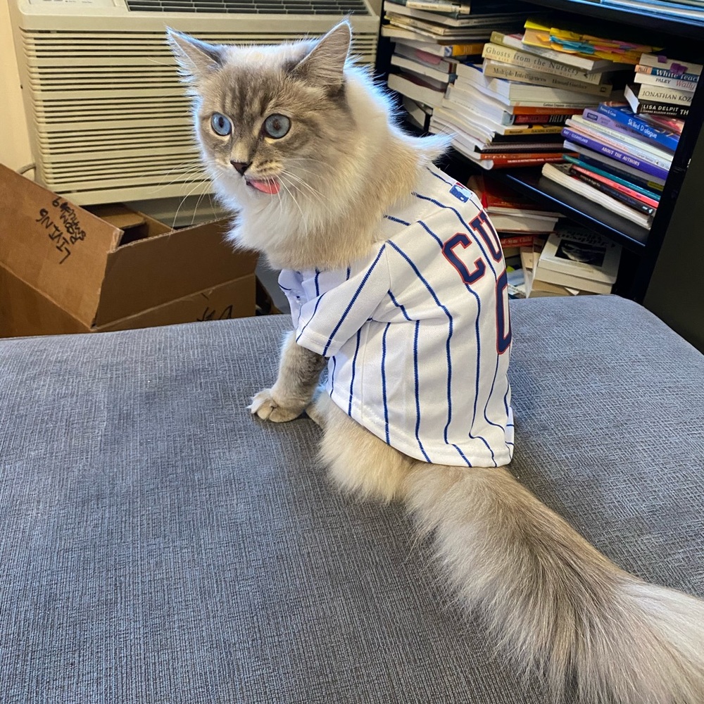 Meet your Posher, Ana